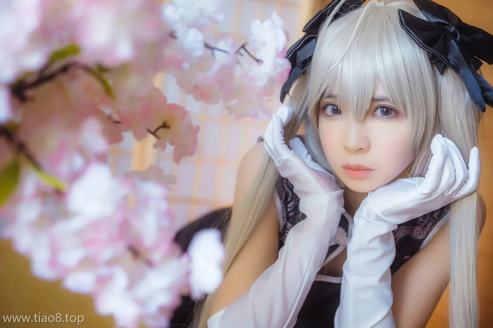 美图欣赏丨Coser疯猫ss:NO.006-穹妹旗袍[24P-324MB]