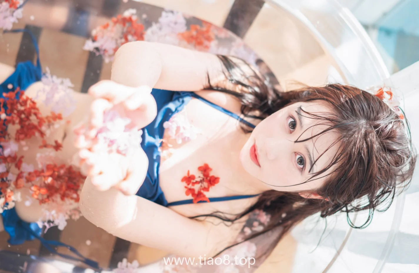 美图欣赏丨Coser镜酱:NO.013- 私奔 泳衣[61P-899MB]