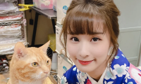 泥泥汝出新作了,和服系列这烟火味谁拍得出来啊